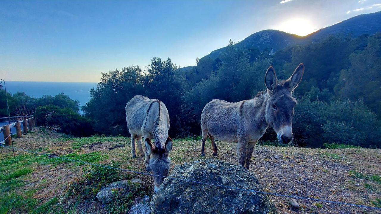 La Bomboniere & Bed & Breakfast Roquebrune-Cap-Martin